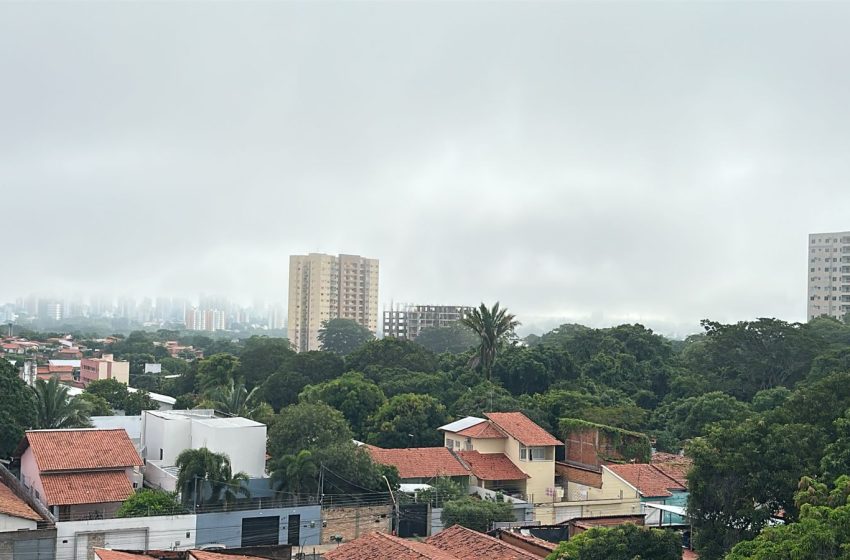  Névoa em Teresina: meteorologista explica como alta umidade e queda de temperatura provocam o fenômeno