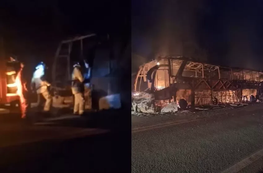  Ônibus de turismo pega fogo na BR-407, no Piauí