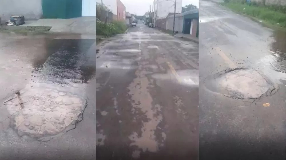 wp header logo 214.png