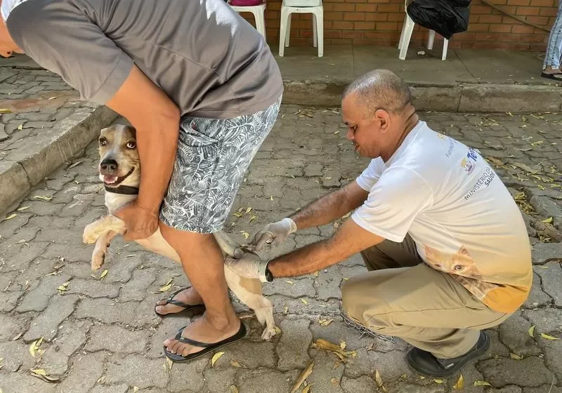  Vacinação contra a raiva na zona rural começa neste sábado (18)