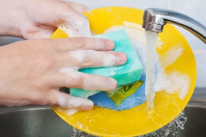 wp header logo 259.png