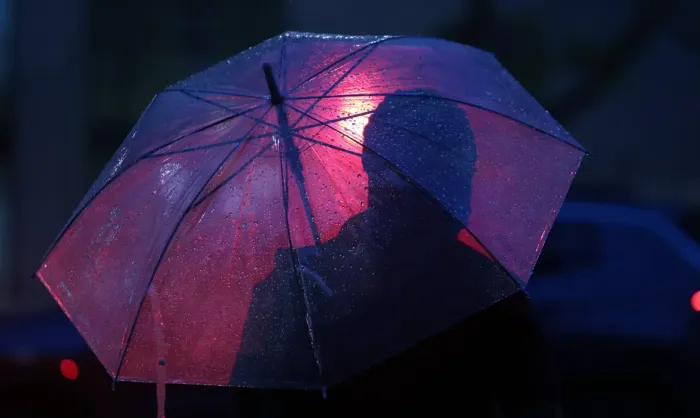 wp header logo 272.png