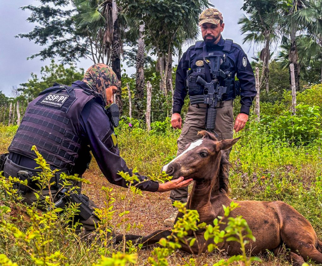 wp header logo 304.png