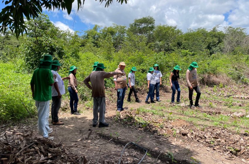 Dia dos povos indígenas: projeto da Uespi une saberes acadêmicos e tradicionais em comunidades indígenas