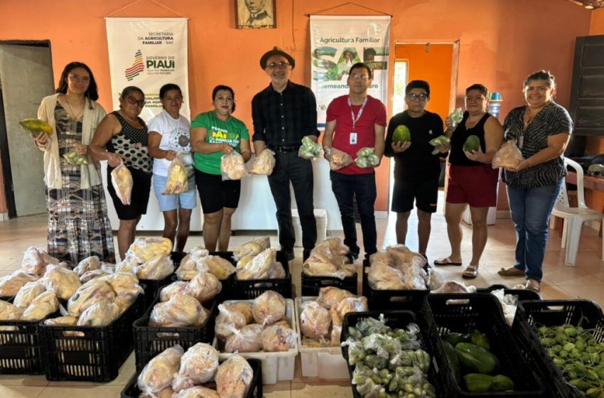  Indígenas do Piauí têm aumento na renda e acesso a alimentos saudáveis por meio de compras institucionais da SAF
