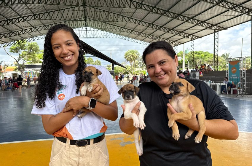  Abril Laranja: Semarh leva serviços a Parnaíba e reforça compromisso do Piauí com a causa animal e educação ambiental