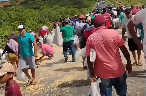 wp header logo 339.png