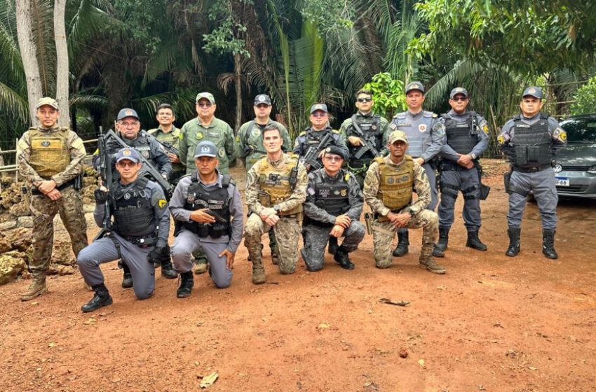  SSP-PI participa de apreensão de meia tonelada de entorpecentes, em Caxias, com apoio de cães farejadores