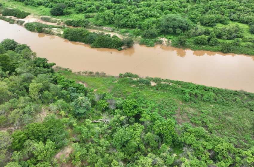  Recuperação de vegetação ciliar avança no território quilombola Mimbó com apoio da Semarh e participação comunitária