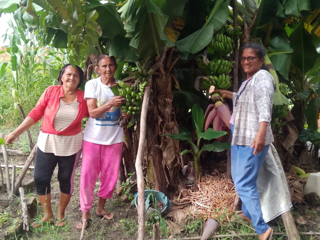 wp header logo 423.png