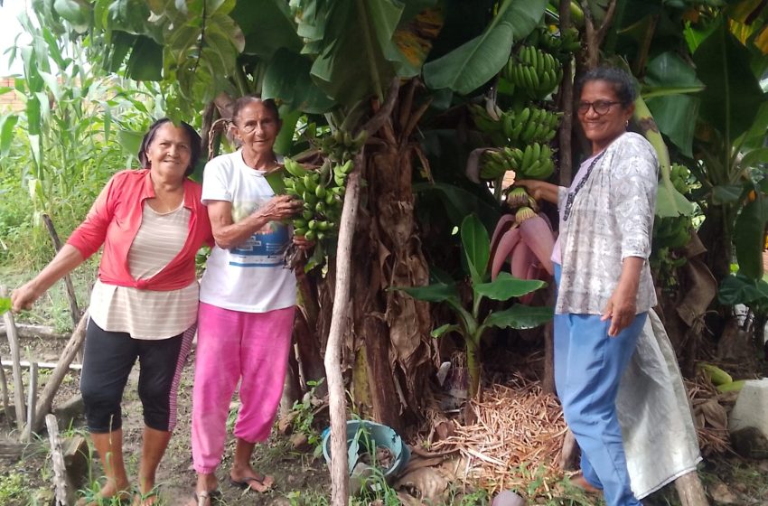  Com apoio do Estado, Programa de Aquisição de Alimentos gera renda e amplia acesso à alimentação de qualidade