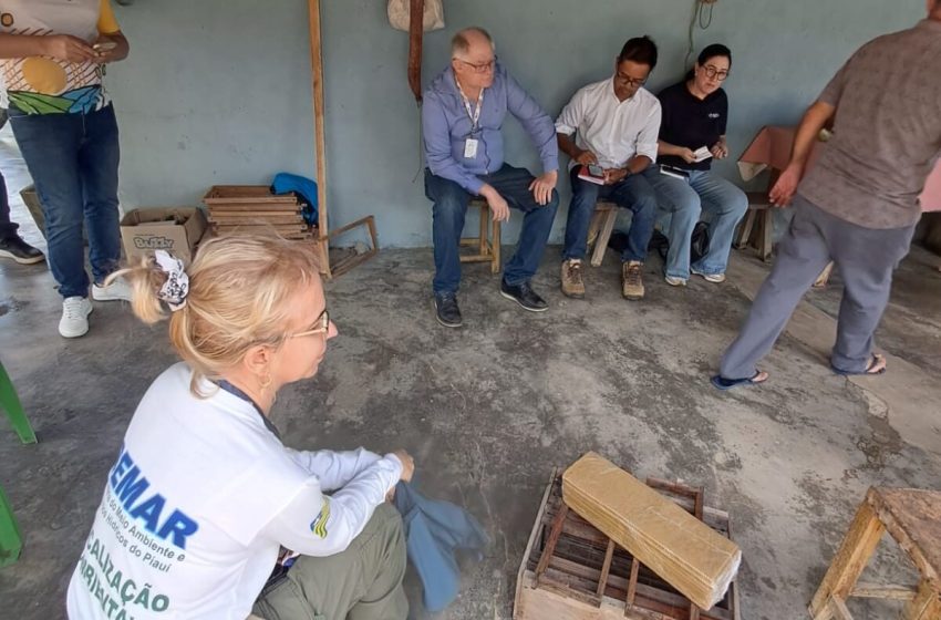  Piauí fortalece apicultura com tecnologia climática e mantém o segundo lugar na produção de mel no país