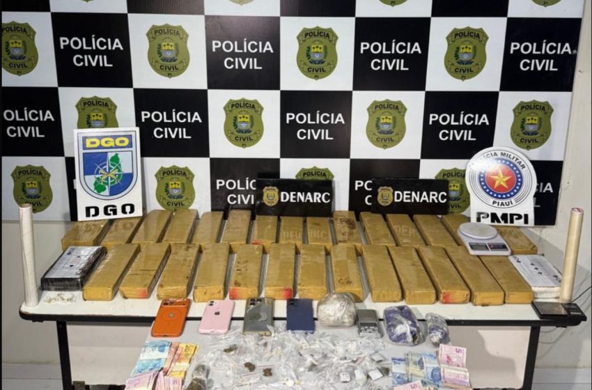 Segurança Pública cumpre 29 mandados e reforça combate ao tráfico de drogas e às organizações criminosas em Teresina