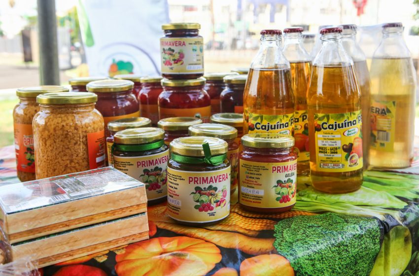  Prazo de inscrições para projeto que vai investir R$ 33 milhões na agricultura familiar é prorrogado