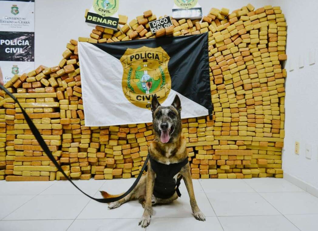 Foto: Reprodução/Secom Ceará