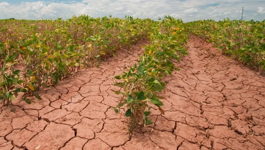  NOAA confirma formação de El Niño e alerta para possível Super El Niño até o fim do ano