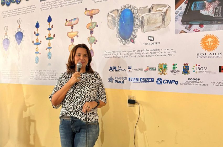  Centro de Tecnologia e Artefatos Minerais fortalece cadeia da opala em Pedro II