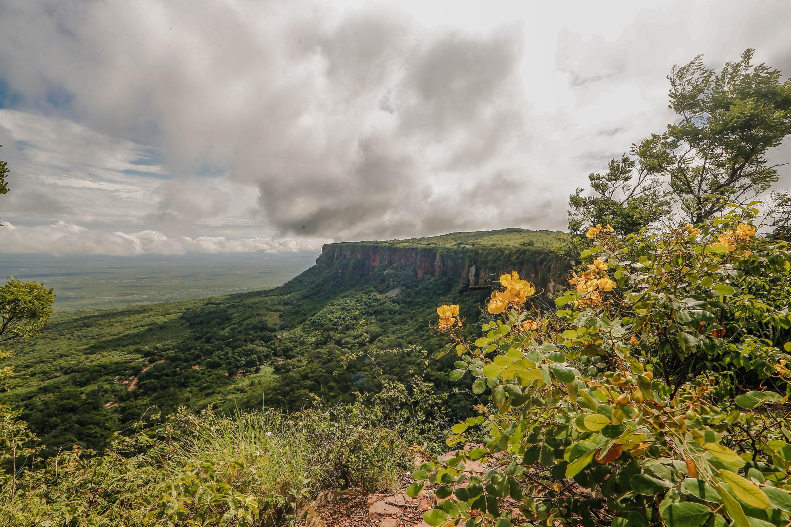 Foto: Reprodução/Secom Piauí