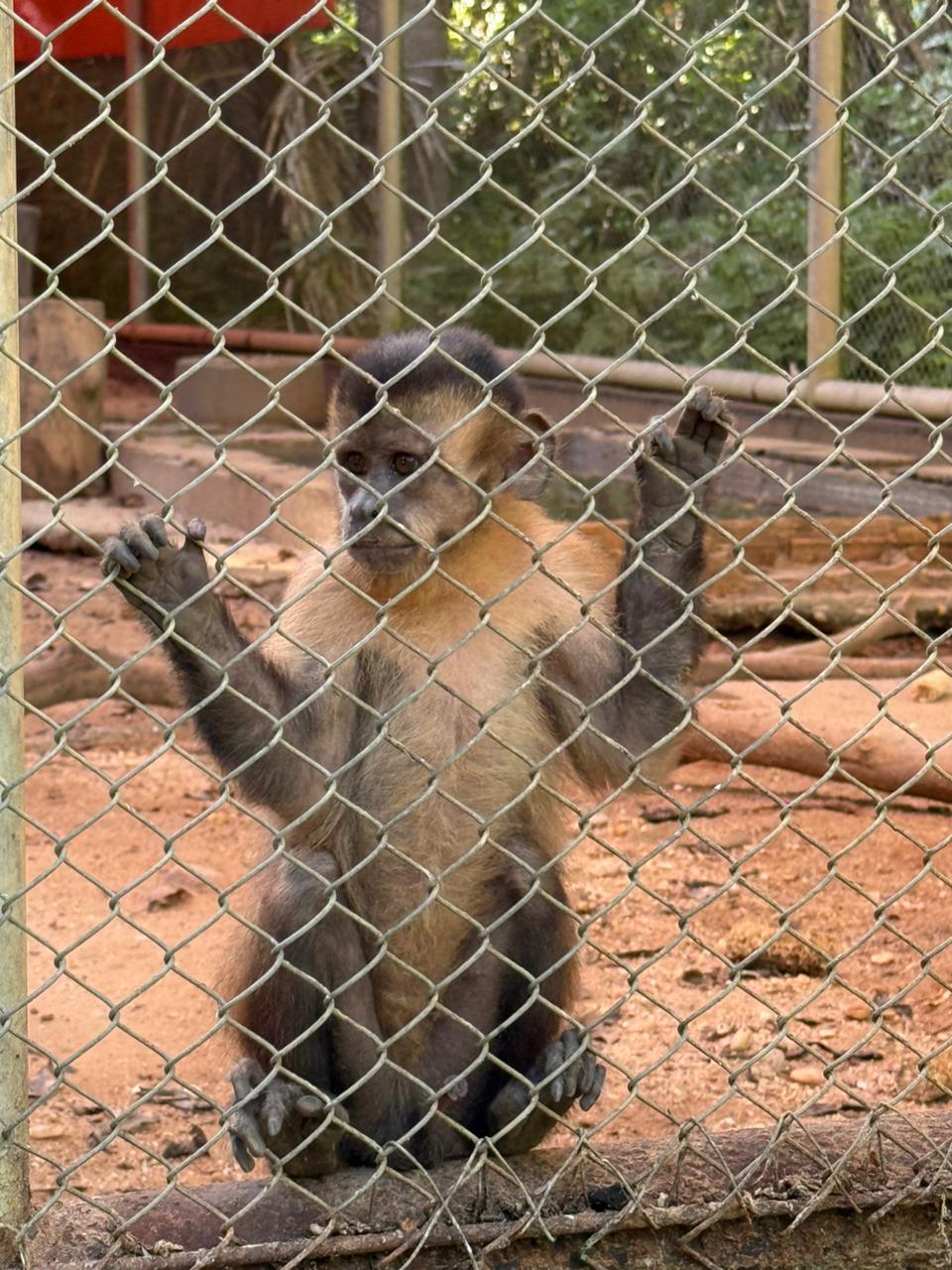 Foto: Reprodução/Secom Piauí