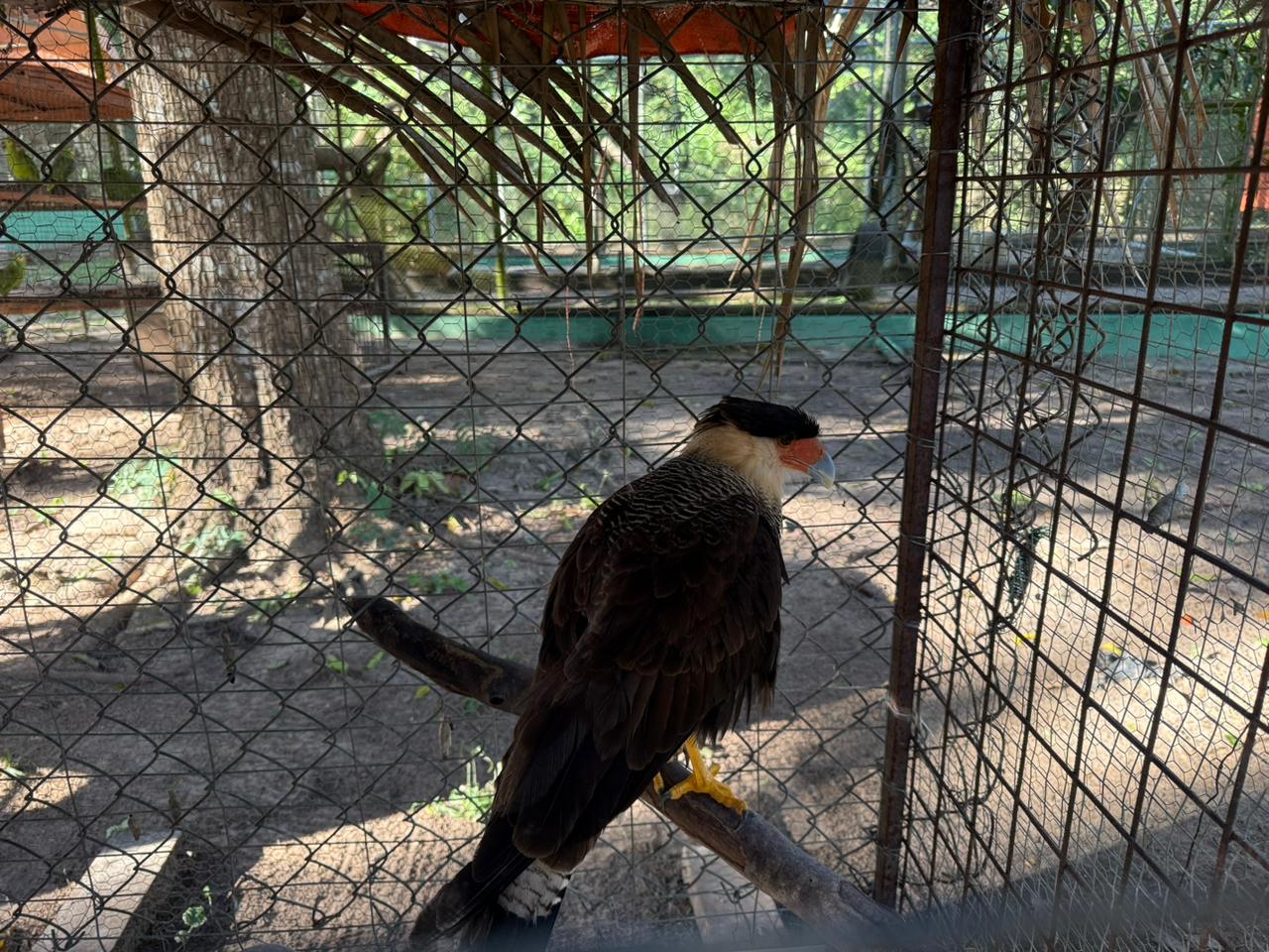 Foto: Reprodução/Secom Piauí