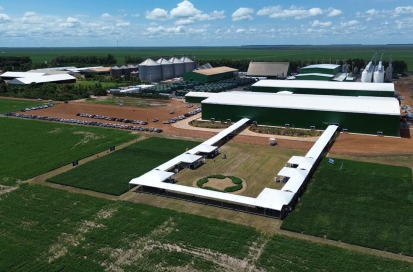  Com o apoio do Governo do Estado, grupo se consolida como referência nacional do agronegócio no sul do Piauí