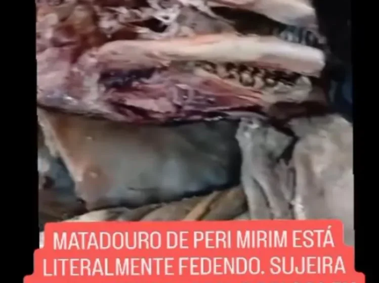  Moradores denunciam abandono de matadouro municipal em Peri Mirim (MA) e cobram ação das autoridades