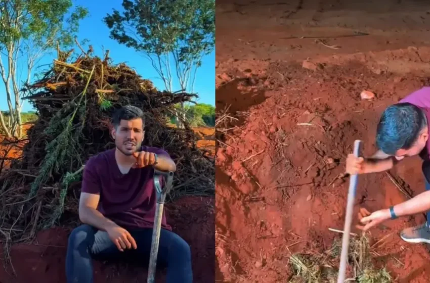  PL amplia representações contra o Governo do Ceará após novas denúncias em fazenda de maconha